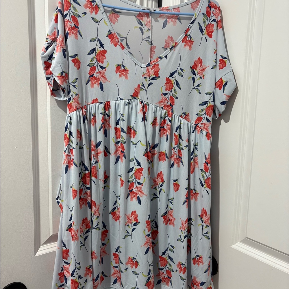 Floral Mini Babydoll Dress in Blue and Red